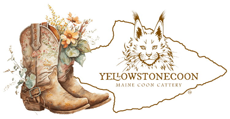 Yellowstonecoon Maine Coon Cattery, boots with flowers and a cat illustration