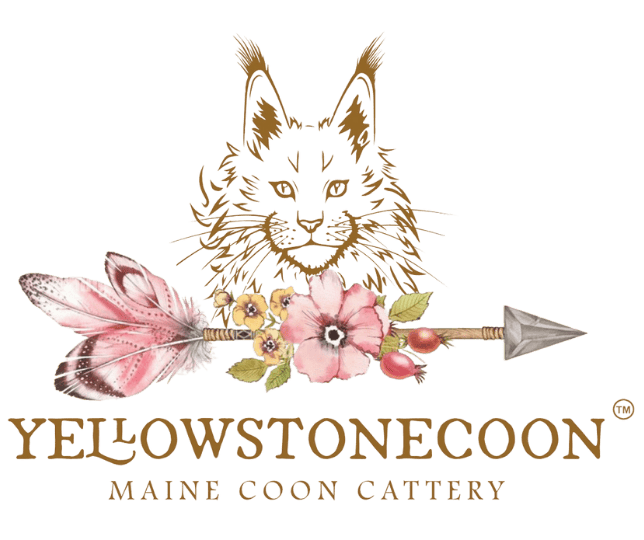 yellowstonecoon maine coon logo